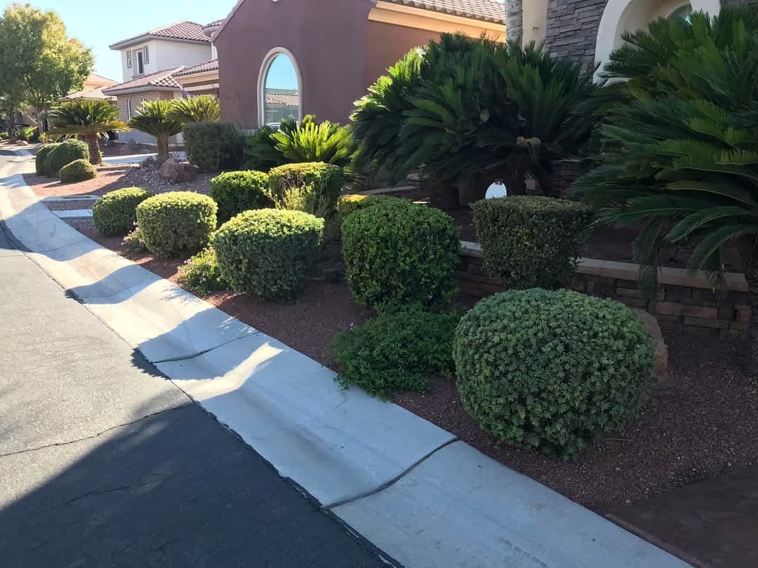 Landscaping project 13