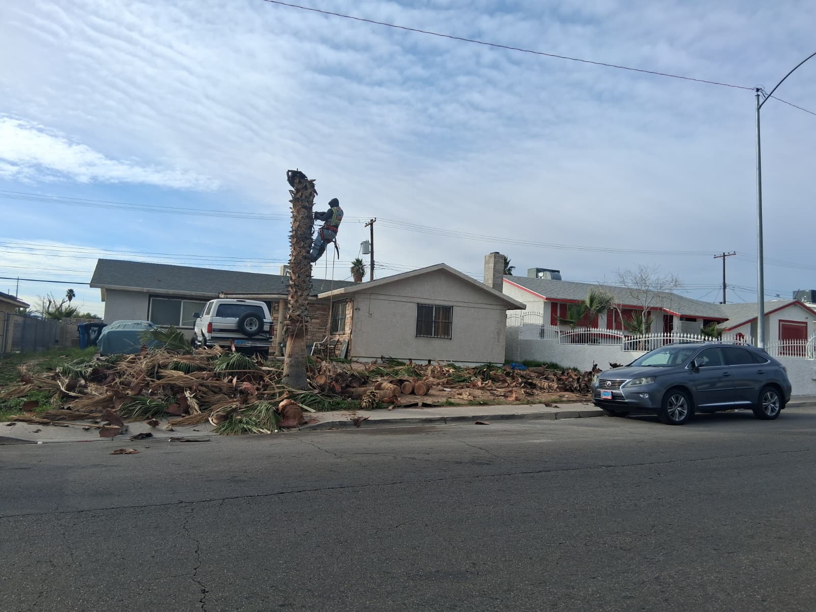 Landscaping project 14